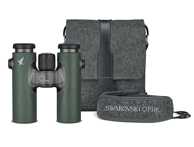 Companion Case - Northern Lites